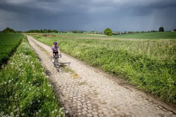 Gravelroutes in Oud-Heverlee en de Brabantse Wouden