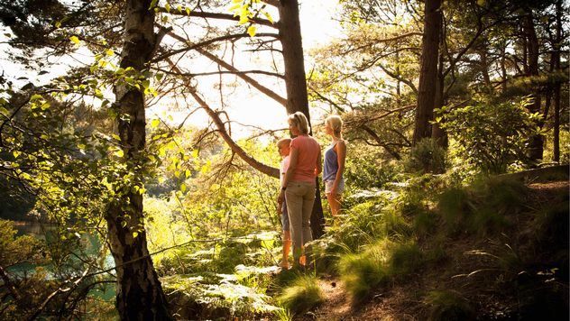 Things to do in the area