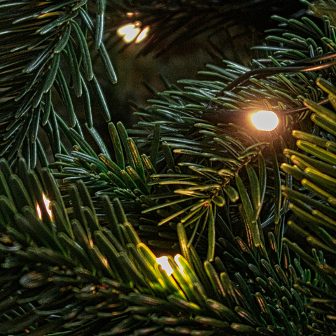 Take away Christmas menu 25/12