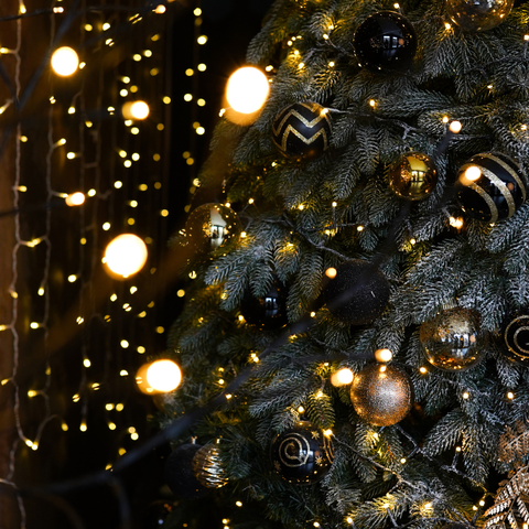 Take away Kerst menu 24/12/2025